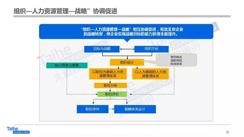 構(gòu)建以網(wǎng)絡(luò)技術(shù)開發(fā)為驅(qū)動的人力資源管理體系，助力企業(yè)實(shí)現(xiàn)跨越式發(fā)展